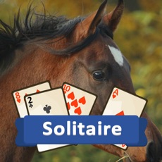 Activities of Solitaire Horses