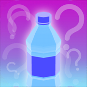 What the Flip - Bottle 3D