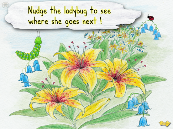 The Caterpillar & the Ladybugのおすすめ画像4