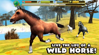 Wild Horse Simulatorのおすすめ画像1