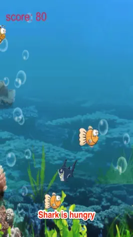 Game screenshot Big Shark Eat Little Fish mod apk
