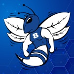 Bryant Hornets Athletics