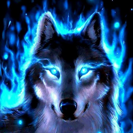 Amazing Wolf Wallpapers By Syed Hussain