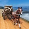 Do you like horse or horse games then you will enjoy playing this amazing game