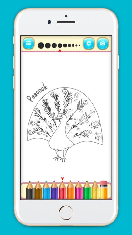 Beautiful Birds coloring book