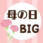 母の日ありがとう・BIGステッカー App Positive Reviews