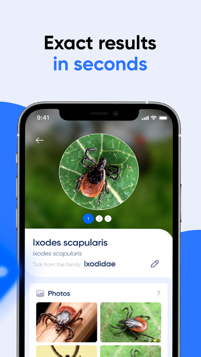 Bug ID: Insect Identifier AI Screenshot