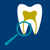 AAE EndoCase - American Association of Endodontists