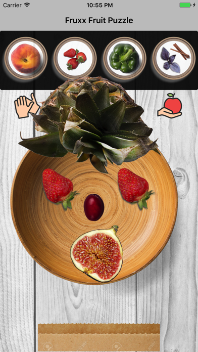 Fruxx Fruit Plate Puzzleのおすすめ画像2