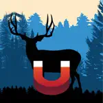Mule Deer Magnet - Deer Calls App Support