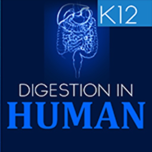 Human Digestive System icon