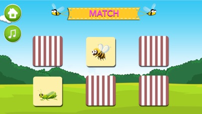 Screenshot #3 pour Learn about Insects