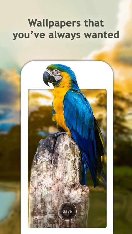 Dynamic Wallpapers for Lock Screen – Pro Themes