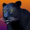 Deadly Black Panther - WIld Animal Simulator 3D