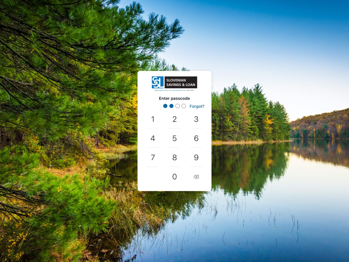 Slovenian Savings and Loan