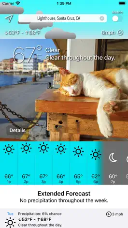Game screenshot Sunkitty mod apk