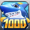 Classical Toad Catch Fish :Top Fun Game