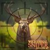 Deer Hunter FPS Sniper Shooter icon