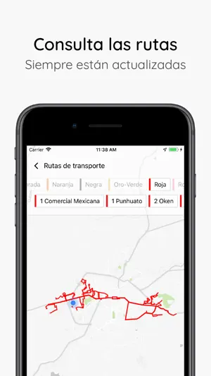 Uitsi Transporte Morelia screenshot 2