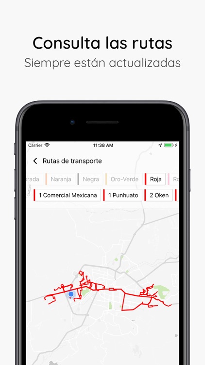 Uitsi Transporte Morelia