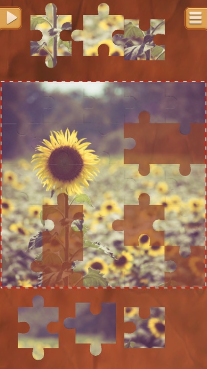 Cool Jigsaw Puzzles Game - Free Logical Games