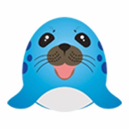 主流日照