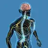 Nervous System Quizzes App Positive Reviews