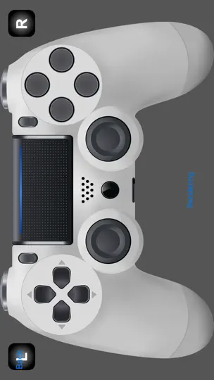 Screenshot von Game Controller Tester Gamepad auf dem iPhone 3