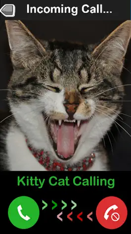 Game screenshot Kitty Cat Fake Phone Call - Birthday Surprise mod apk