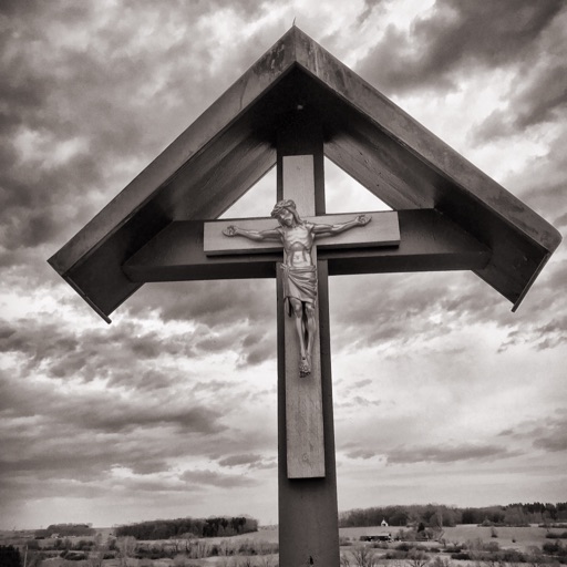 YLT Bible  - Saddle Lights