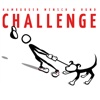 Challenge Hamburg