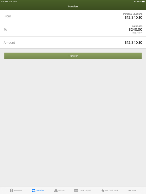 NorthCountry Mobile Banking iPad screenshot 4 - Finance app