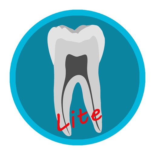 Dental Corpus Anatomy Lite Icon