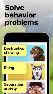 everydoggy - dog training app iphone screenshot 3