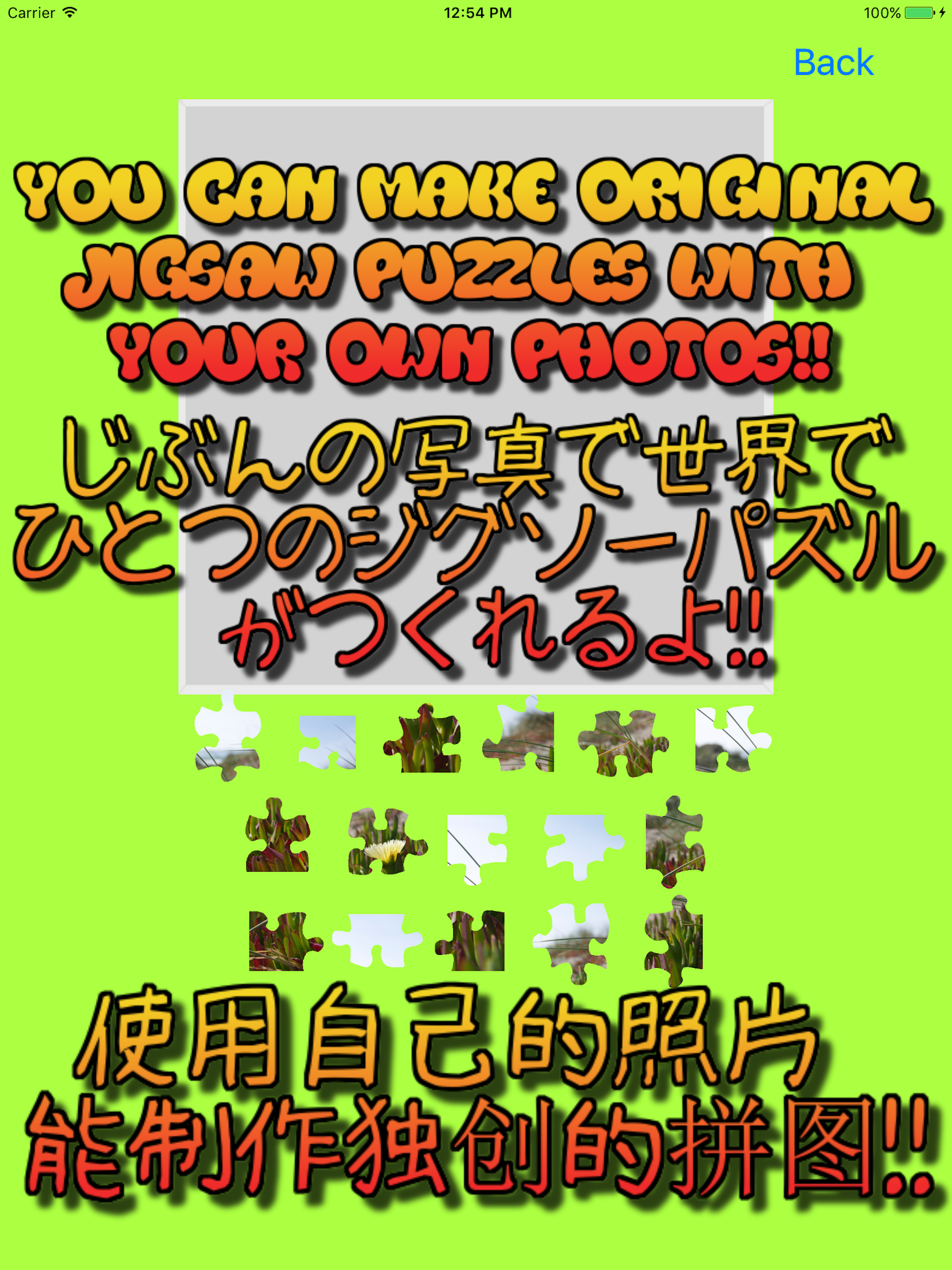 Cat's Jigsaw Puzzles screenshot 10