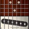 Steel Guitar PRO - iPhoneアプリ