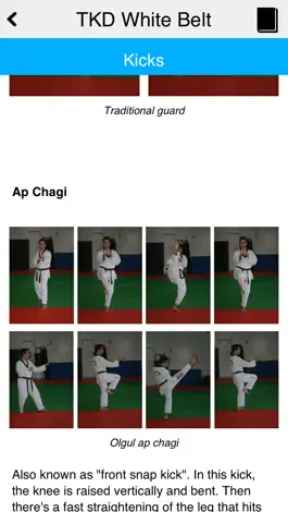 Game screenshot The Taekwondo White Belt apk