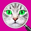 What's the Photo? ~ Free Close up Game Quiz - iPhoneアプリ