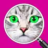 What's the Photo? ~ Free Close up Game Quiz Positive Reviews, comments