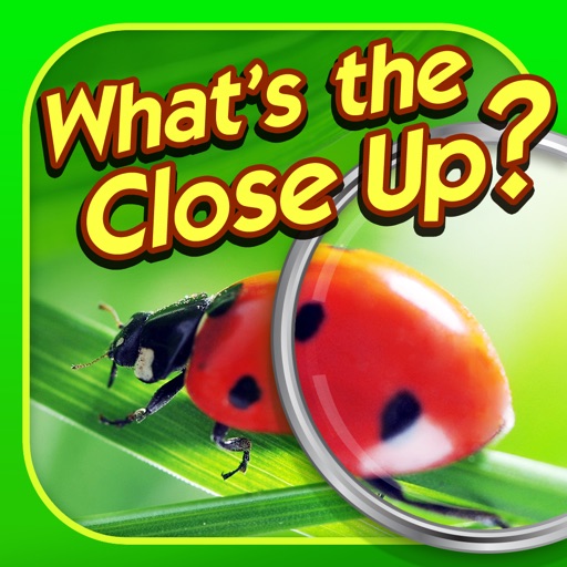What's the Close Up? - Close Up Pics Photo Quiz