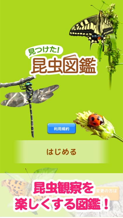 見つけた！昆虫図鑑