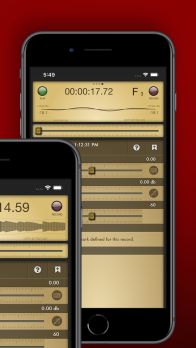 Voice Record Pro Screenshot