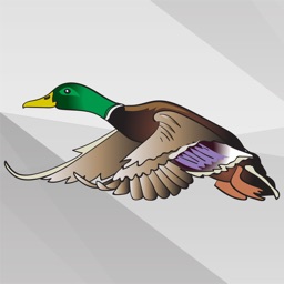 Autocollants de Chasse