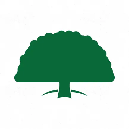 Palolo Elementary Читы