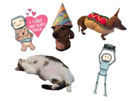 This is a sticker sampler pack, a collection of stickers produced by Studio H
