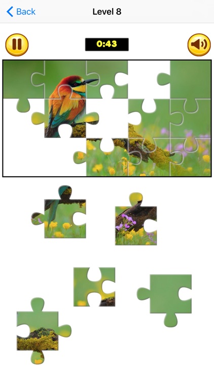 Puzzle Collection Pro: Animals