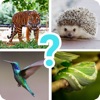 Animals quiz guess mammals zoo - iPhoneアプリ