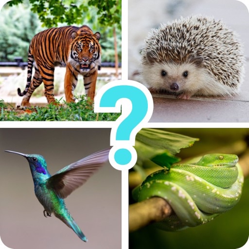 Animals quiz guess mammals zoo iOS App