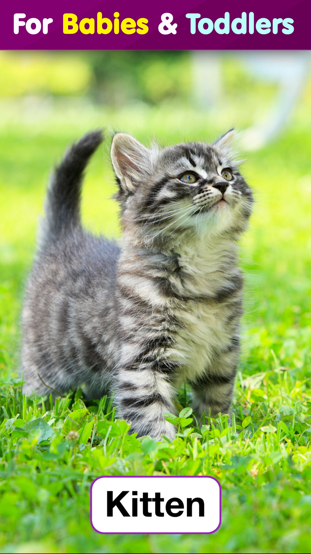 Screenshot 2 of Toddler Flashcards HD: Baby Learning Games & Apps