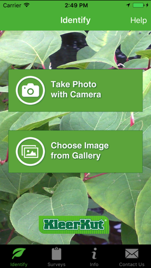 KleerKut(圖1)-速報App